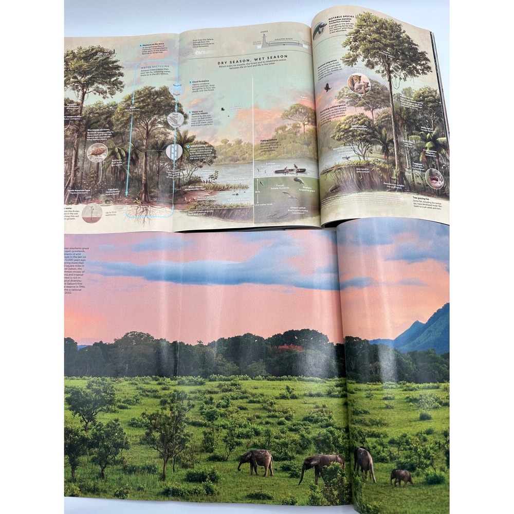 National Geographic Nature Conservation Bundle 4 Special Issues Posters - Picture 3 of 9